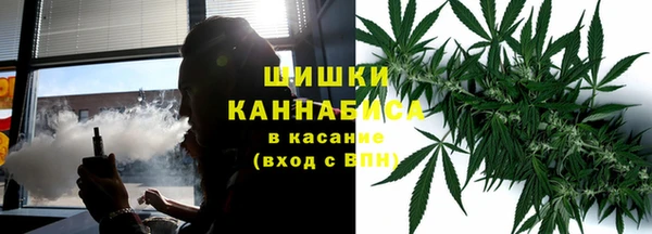 винт Бородино